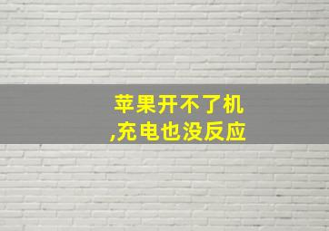 苹果开不了机,充电也没反应