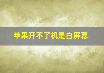 苹果开不了机是白屏幕