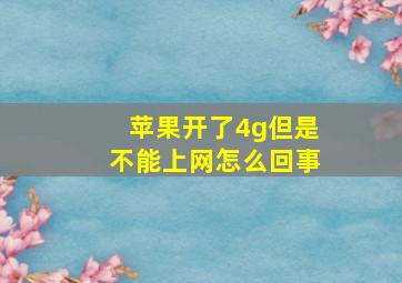 苹果开了4g但是不能上网怎么回事