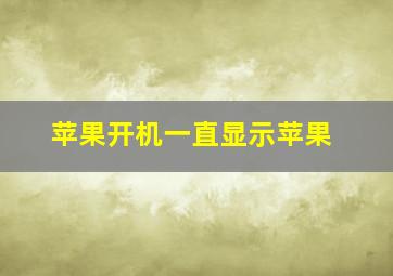 苹果开机一直显示苹果