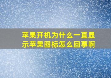 苹果开机为什么一直显示苹果图标怎么回事啊