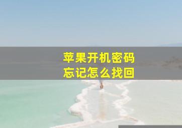 苹果开机密码忘记怎么找回