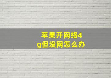 苹果开网络4g但没网怎么办