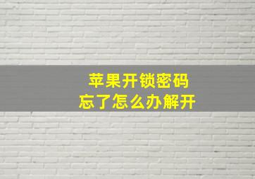 苹果开锁密码忘了怎么办解开