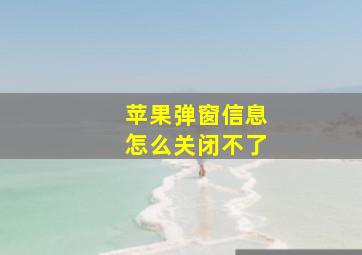 苹果弹窗信息怎么关闭不了