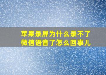 苹果录屏为什么录不了微信语音了怎么回事儿