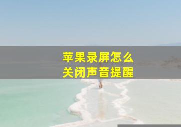 苹果录屏怎么关闭声音提醒