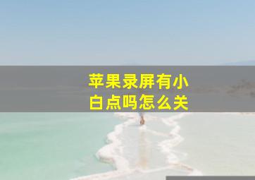 苹果录屏有小白点吗怎么关