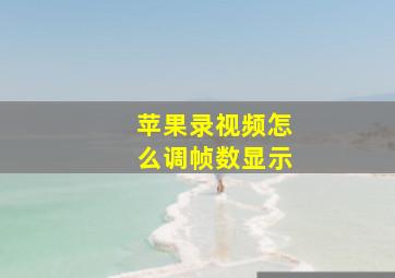 苹果录视频怎么调帧数显示