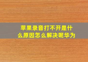 苹果录音打不开是什么原因怎么解决呢华为