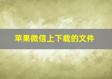 苹果微信上下载的文件