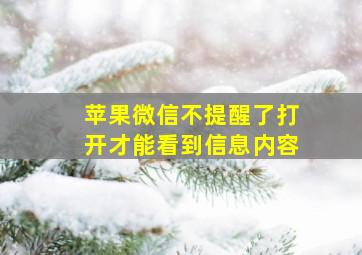 苹果微信不提醒了打开才能看到信息内容