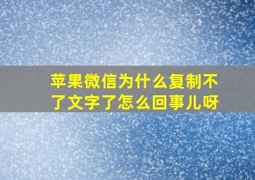 苹果微信为什么复制不了文字了怎么回事儿呀