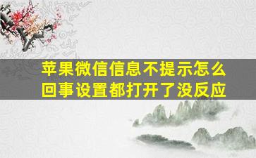 苹果微信信息不提示怎么回事设置都打开了没反应