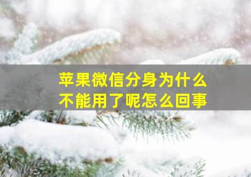 苹果微信分身为什么不能用了呢怎么回事