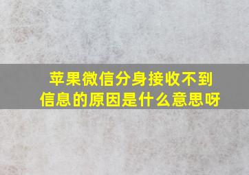 苹果微信分身接收不到信息的原因是什么意思呀