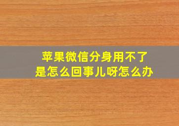 苹果微信分身用不了是怎么回事儿呀怎么办