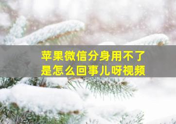 苹果微信分身用不了是怎么回事儿呀视频