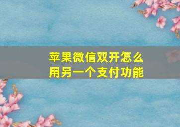 苹果微信双开怎么用另一个支付功能