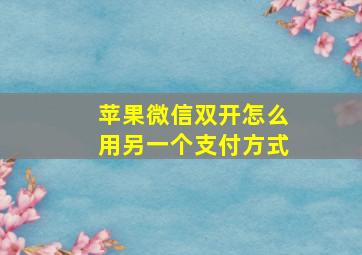 苹果微信双开怎么用另一个支付方式