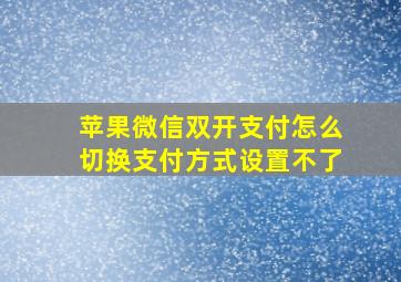 苹果微信双开支付怎么切换支付方式设置不了