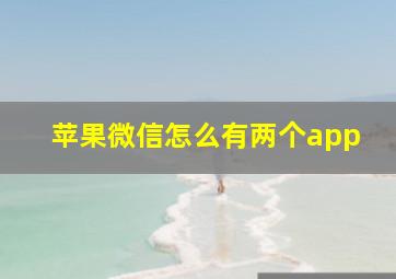 苹果微信怎么有两个app