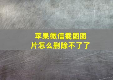 苹果微信截图图片怎么删除不了了