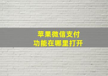 苹果微信支付功能在哪里打开