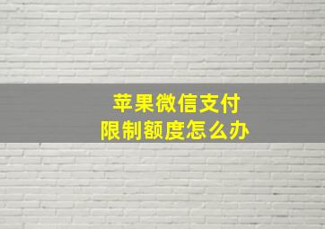 苹果微信支付限制额度怎么办