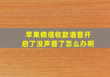 苹果微信收款语音开启了没声音了怎么办啊