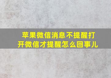 苹果微信消息不提醒打开微信才提醒怎么回事儿