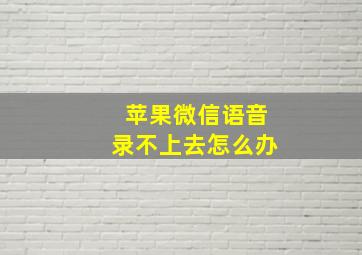 苹果微信语音录不上去怎么办