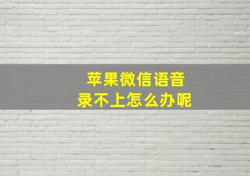 苹果微信语音录不上怎么办呢