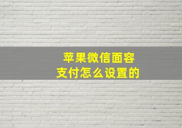 苹果微信面容支付怎么设置的