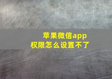 苹果微信app权限怎么设置不了