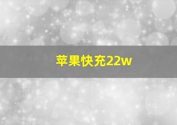 苹果快充22w