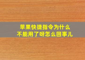 苹果快捷指令为什么不能用了呀怎么回事儿