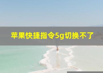 苹果快捷指令5g切换不了