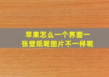 苹果怎么一个界面一张壁纸呢图片不一样呢