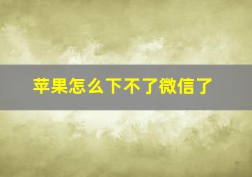 苹果怎么下不了微信了