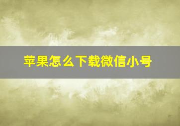 苹果怎么下载微信小号