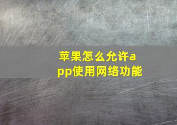 苹果怎么允许app使用网络功能