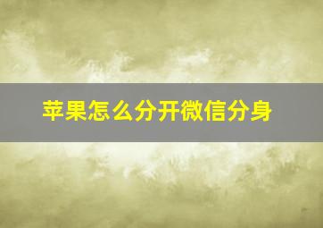 苹果怎么分开微信分身