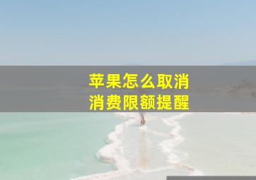 苹果怎么取消消费限额提醒