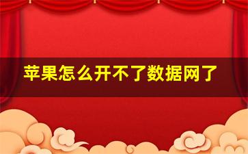 苹果怎么开不了数据网了