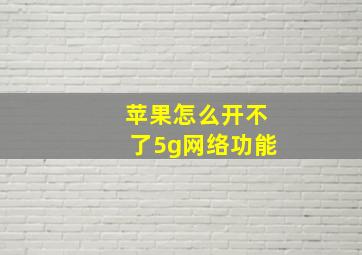 苹果怎么开不了5g网络功能