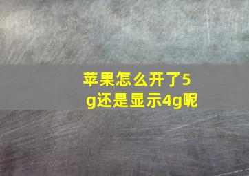 苹果怎么开了5g还是显示4g呢