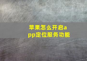 苹果怎么开启app定位服务功能