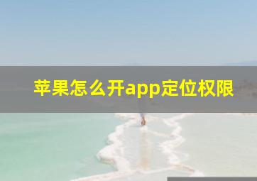 苹果怎么开app定位权限