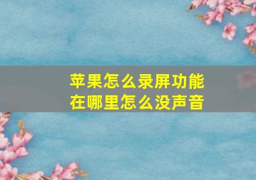 苹果怎么录屏功能在哪里怎么没声音